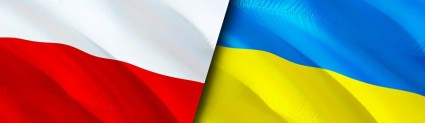 Zdjęcie artykułu Підтримка іноземців PSZ  Сілезького воєводства