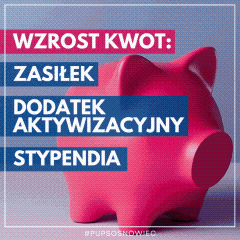 Zdjęcie artykułu WZROST KWOTY ZASIŁKU! POZNAJ KWOTY I SPRAWDŹ NA CO MA WPŁYW!